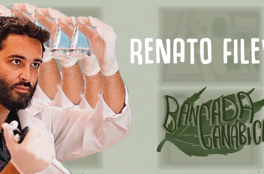  Bancada Canábica #02 // Renato Filev