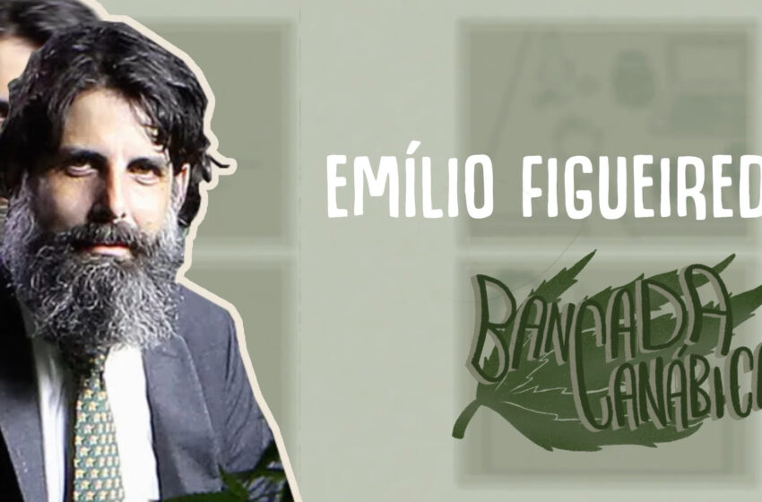  Bancada Canábica #03 // Emílio Figueiredo