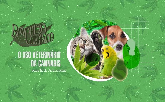  Bancada Canábica 2.5 – Como a cannabis pode ajudar o seu pet