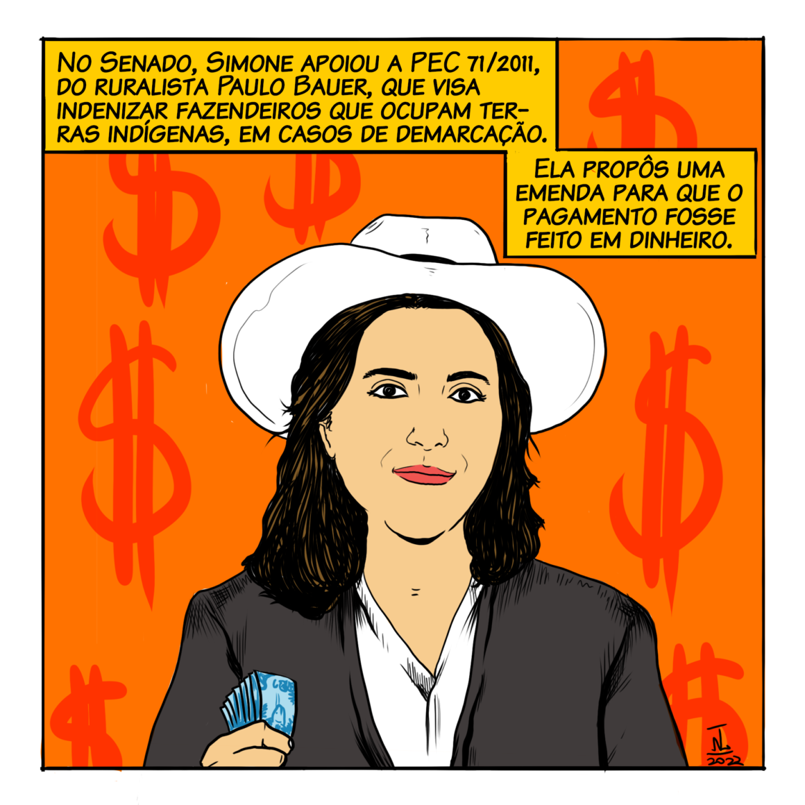 No Senado, Simone apoiou a PEC 71/2011, do ruralista Paulo Bauer, que visa indenizar fazendeiros que ocupam terras indígenas, em casos de demarcação. Além disso, propôs uma emenda para que o pagamento seja feito em dinheiro.