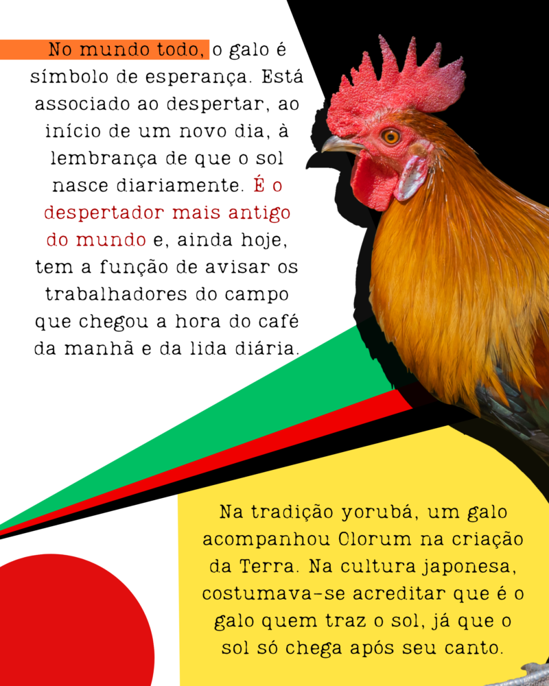 No mundo todo, o galo é símbolo de esperança. Está associado ao despertar, ao início de um novo dia, à lembrança de que o sol nasce diariamente. É o despertador mais antigo do mundo e, ainda hoje, tem a função de avisar os trabalhadores do campo que chegou a hora do café da manhã e da lida diária. Na tradição yorubá, um galo acompanhou Olorum na criação da Terra. Na cultura japonesa, costumava-se acreditar que é o galo quem traz o sol, já que o sol só chega após seu canto.