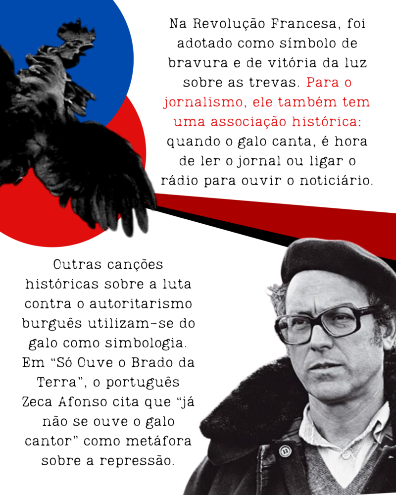 Na Revolução Francesa, foi adotado como símbolo de bravura e de vitória da luz sobre as trevas. Para o jornalismo, ele também tem uma associação histórica: quando o galo canta, é hora de ler o jornal ou ligar o rádio para ouvir o noticiário. Outras canções históricas sobre a luta contra o autoritarismo burguês utilizam-se do galo como simbologia. Em “Só Ouve o Brado da Terra”, o português Zeca Afonso cita que “já não se ouve o galo cantor” como metáfora sobre a repressão.