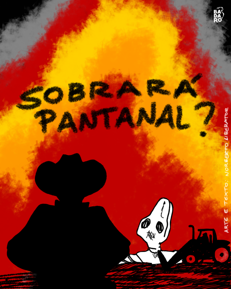 Sobrará Pantanal?
