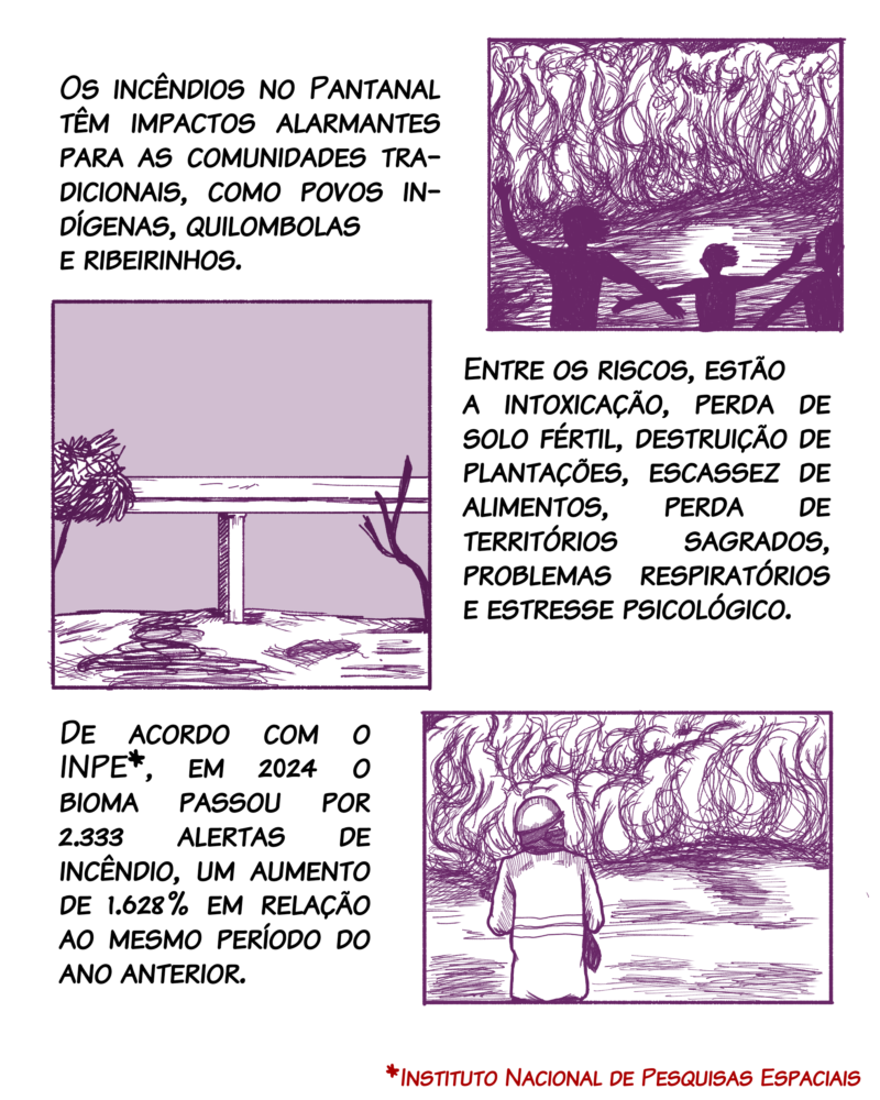 O impacto dos incêndios sobre as comunidades tradicionais pantaneiras Badaró | Gleice Jane