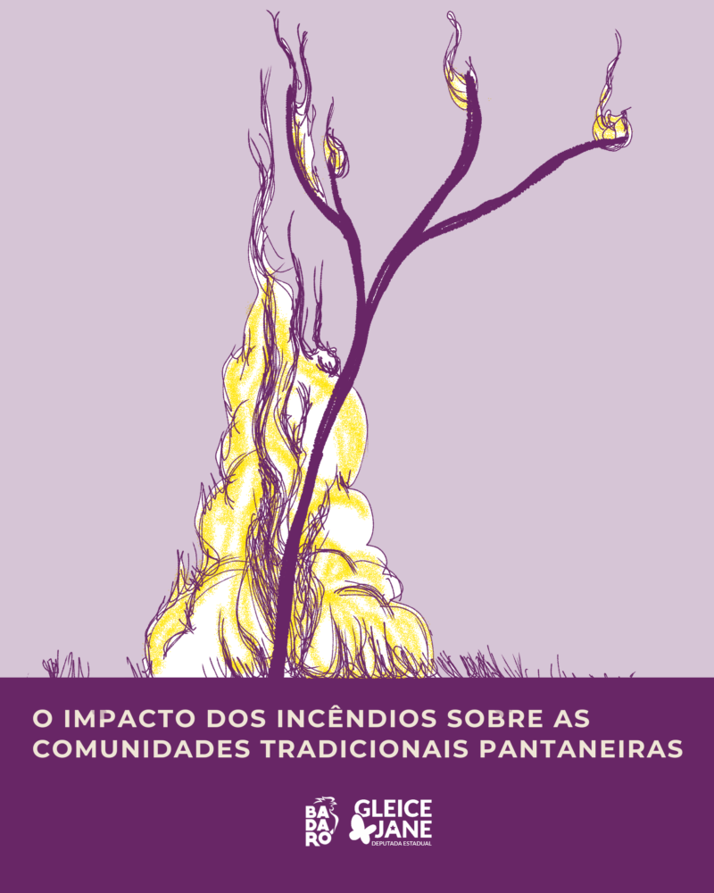 O impacto dos incêndios sobre as comunidades tradicionais pantaneiras Badaró | Gleice Jane