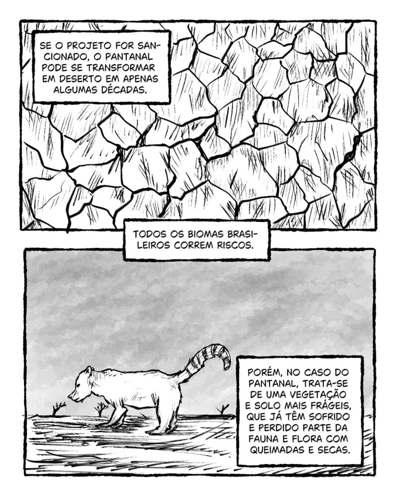 Se o projeto for sancionado, o Pantanal pode se transformar em deserto em poucas décadas. Todos os biomas brasileiros correm riscos. Porém, no caso do Pantanal, trata-se de uma vegetação e solo mais frágeis, que já têm sofrido e perdido parte da fauna e flora com queimadas e secas.